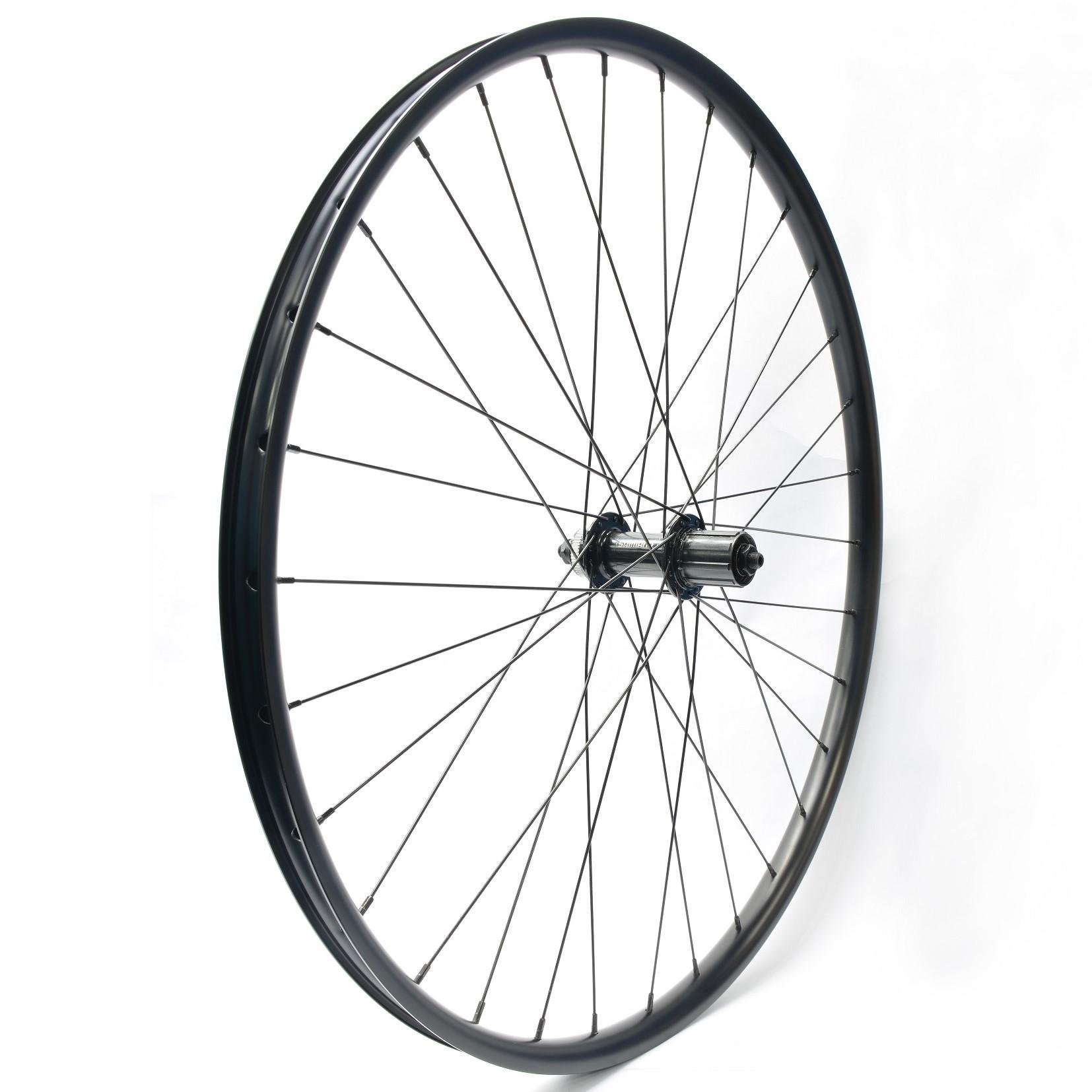 Bianchi Magma 29'' Alexrims DP25, 32H CL Disk, FV, QR,  Dağ Bisikleti Arka Jant Seti