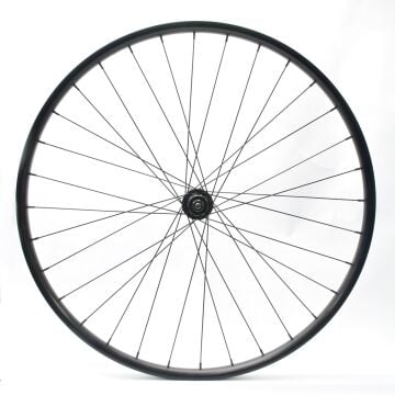 Bianchi Magma 29'' Alexrims DP25, 32H CL Disk, FV, QR,  Dağ Bisikleti Arka Jant Seti