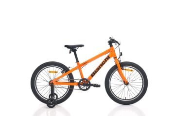 20 Bianchi 20.1 V-Fren Erkek Çocuk Bisikleti
