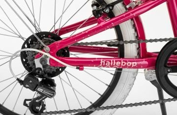 20 Conor Halebop 6v V-Fren Kız Çocuk Bisikleti