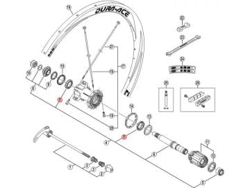 Shimano 3/16'' Kafes Göbek Bilyesi Y25R98080